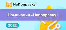 Номинации «Напоправку»